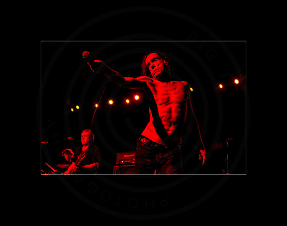 Iggy and the Stooges