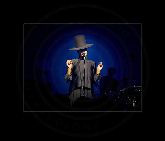 Erykah Badu - Sydney April - 2014
