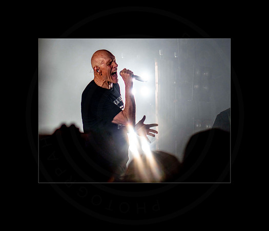 Midnight Oil